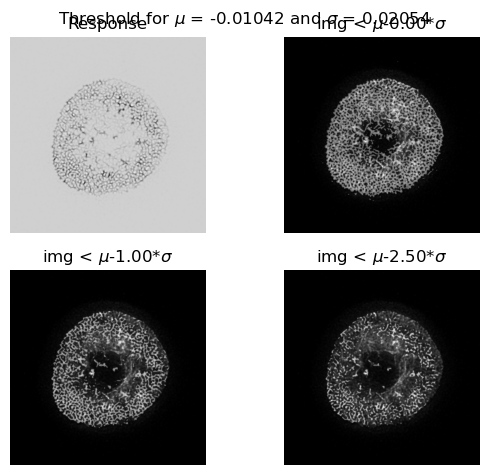 ../_images/notebooks_tutorial_actimg_15_0.png